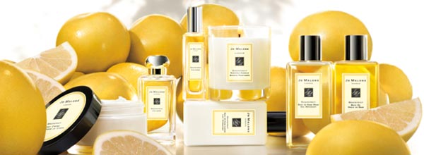 國祖馬龍植物廣告創意設計08